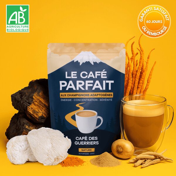 Le Café Parfait — Café des Guerriers, café aux 4 champignons adaptogènes