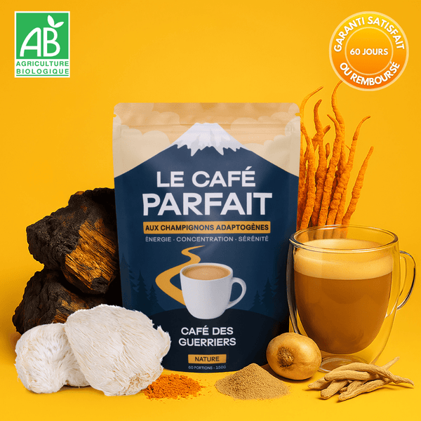 Le Café Parfait — Café des Guerriers